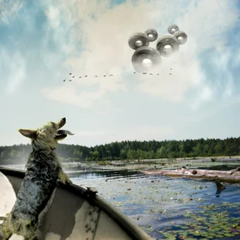 maury island dog.jpg