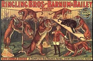 barnum and bailey big circus cats.jpg
