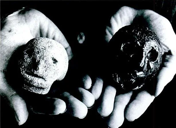 Two replicas of the Hexhahm Heads, pictured on the cover of Paul Screeton’s Quest for the Hexham Heads