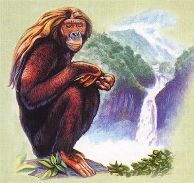 OrangPendek (1).jpg