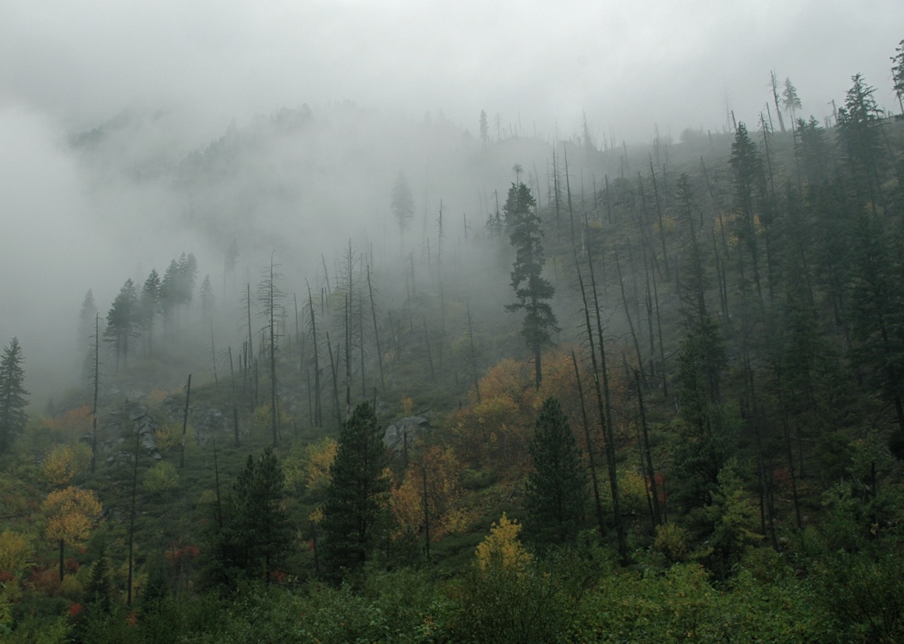 DSC_00973424.jpg