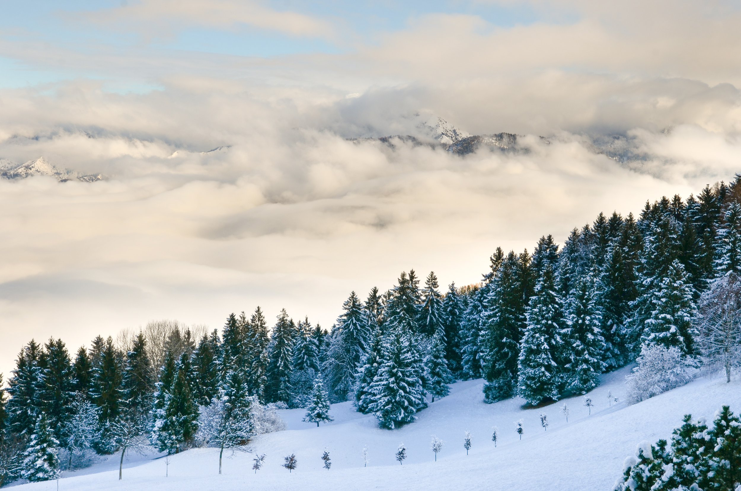 Photo by Andrea Casali on Unsplash