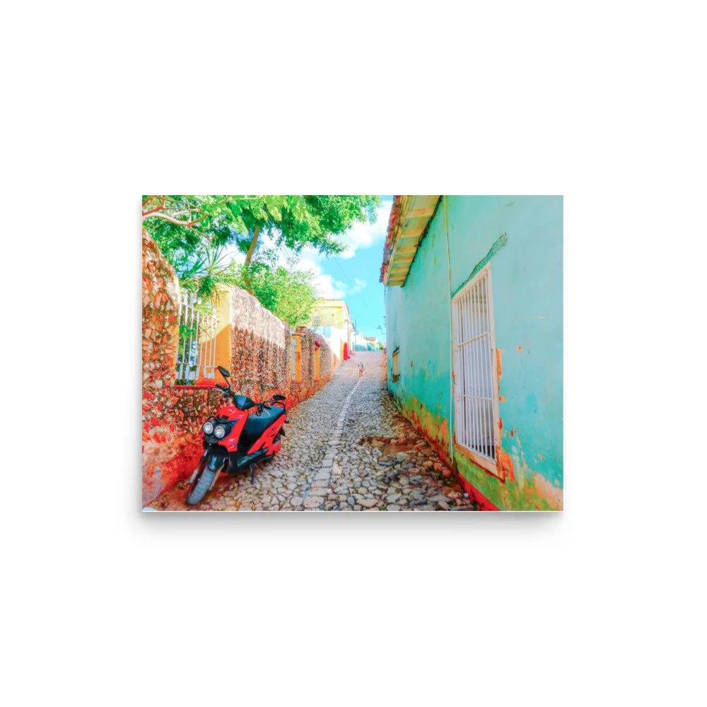 premium-luster-photo-paper-poster-(in)-12x16-front-62a58492afa2d.jpg