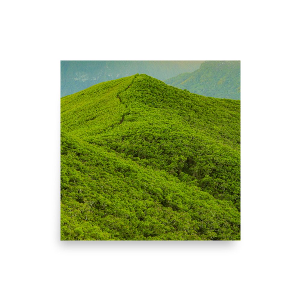 premium-luster-photo-paper-poster-(in)-10x10-front-62a60ed7f2dbf.jpg