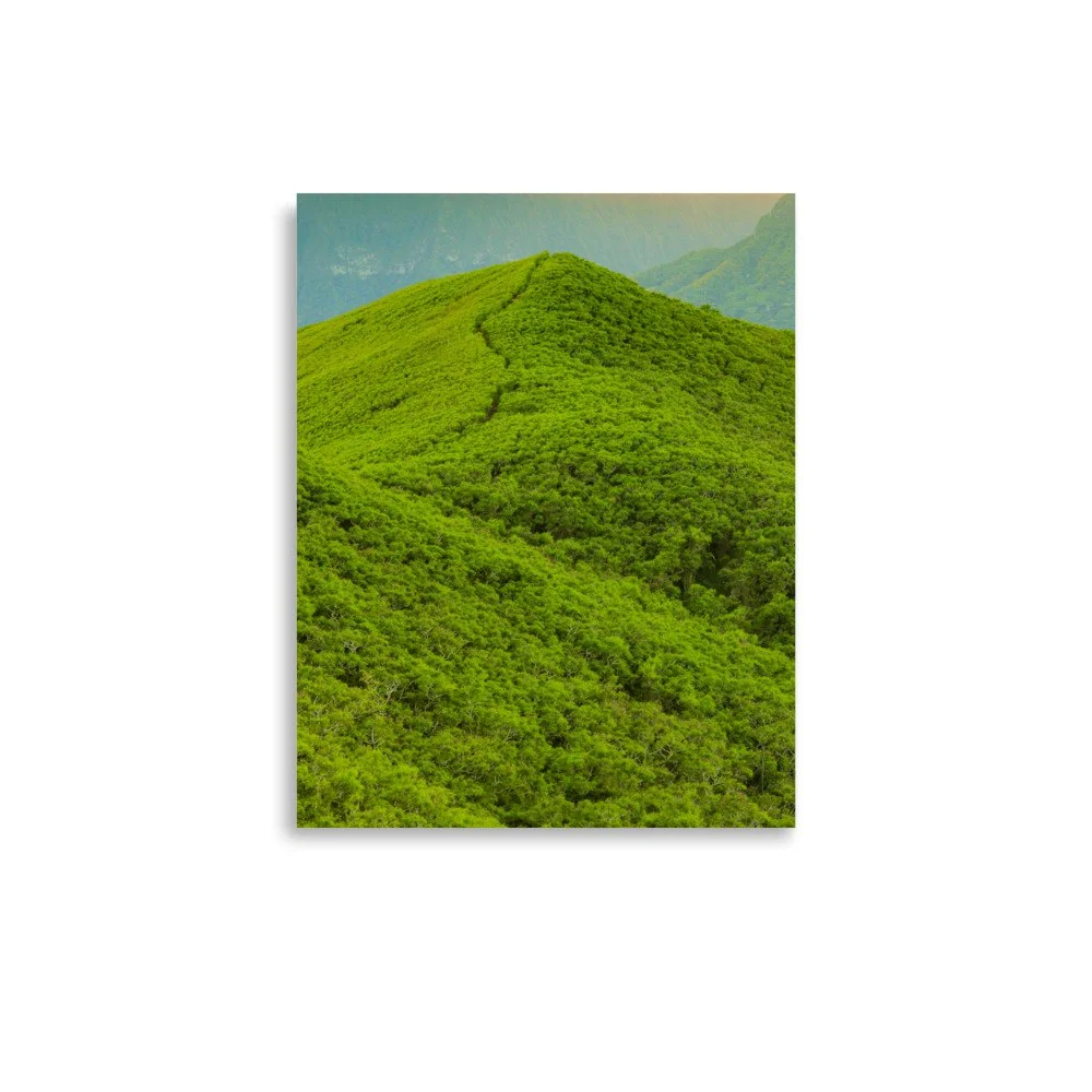 premium-luster-photo-paper-poster-(in)-11x14-front-62a60ed7f3372.jpg