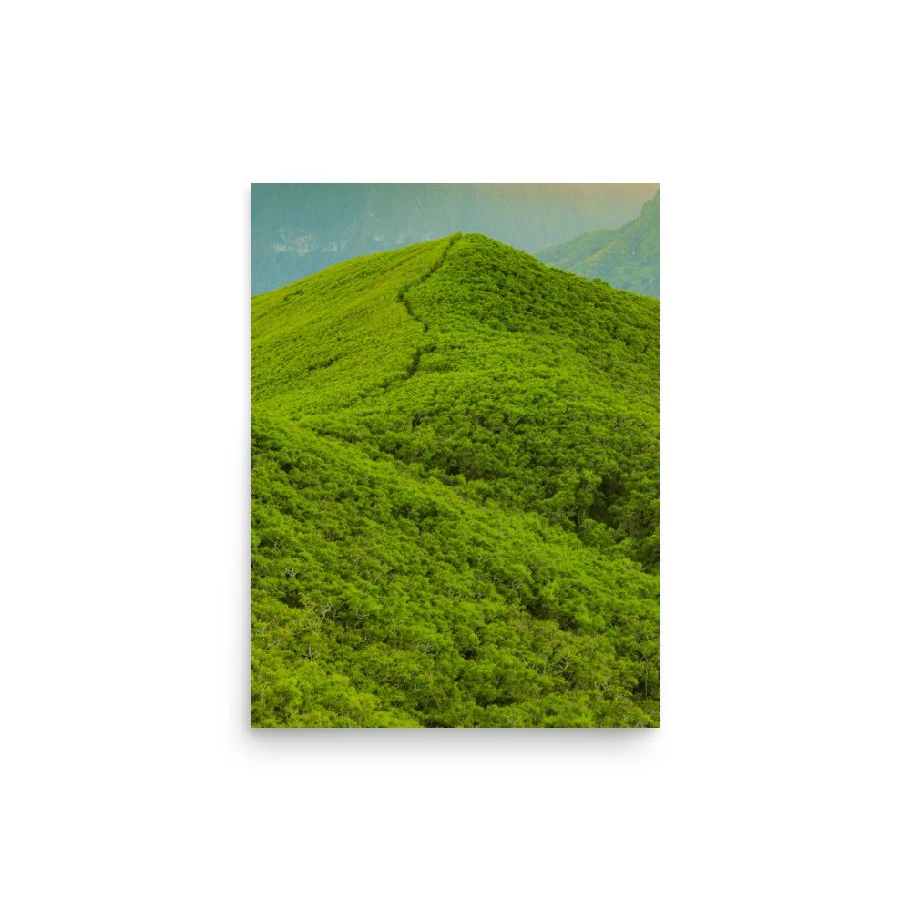 premium-luster-photo-paper-poster-(in)-12x16-front-62a60ed7f345e.jpg