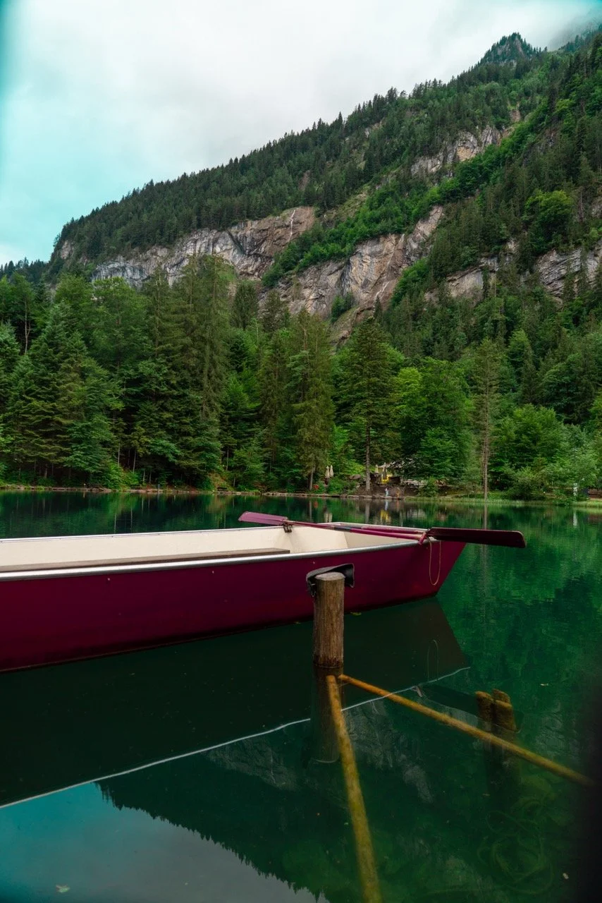 DSC01149 copy 2 Large.jpeg