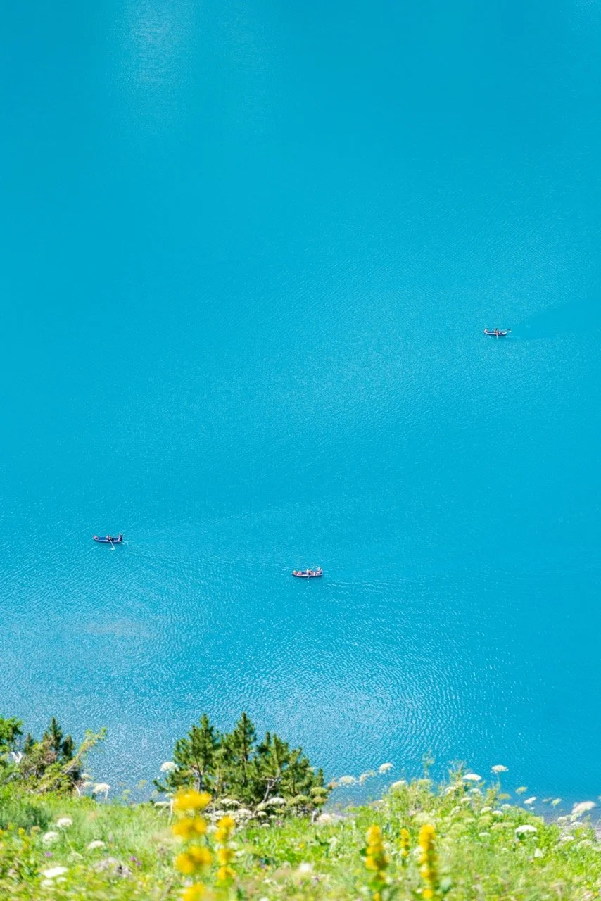 DSC01602 copy 2 Large.jpeg