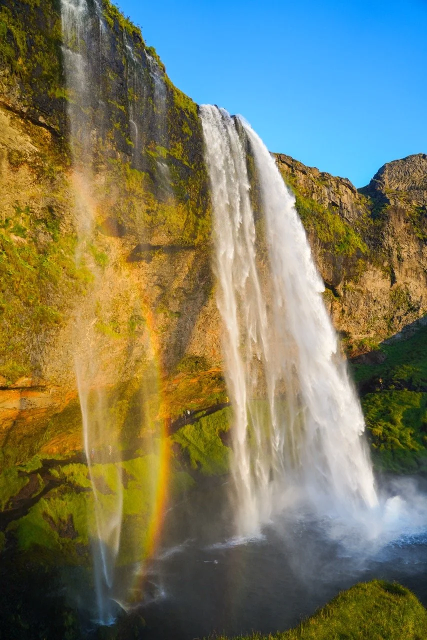 DSC03968 copy Large.jpeg