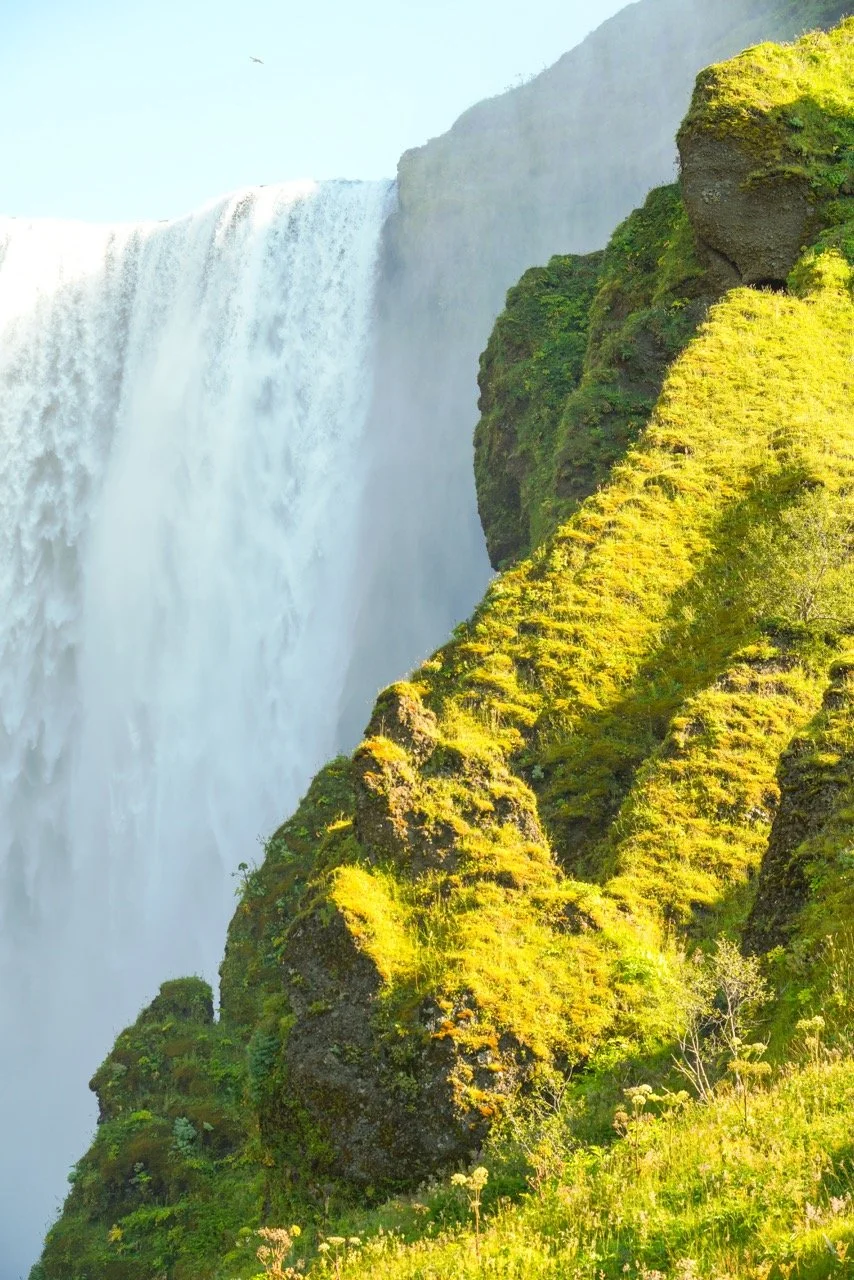 DSC04035 copy 2 Large.jpeg