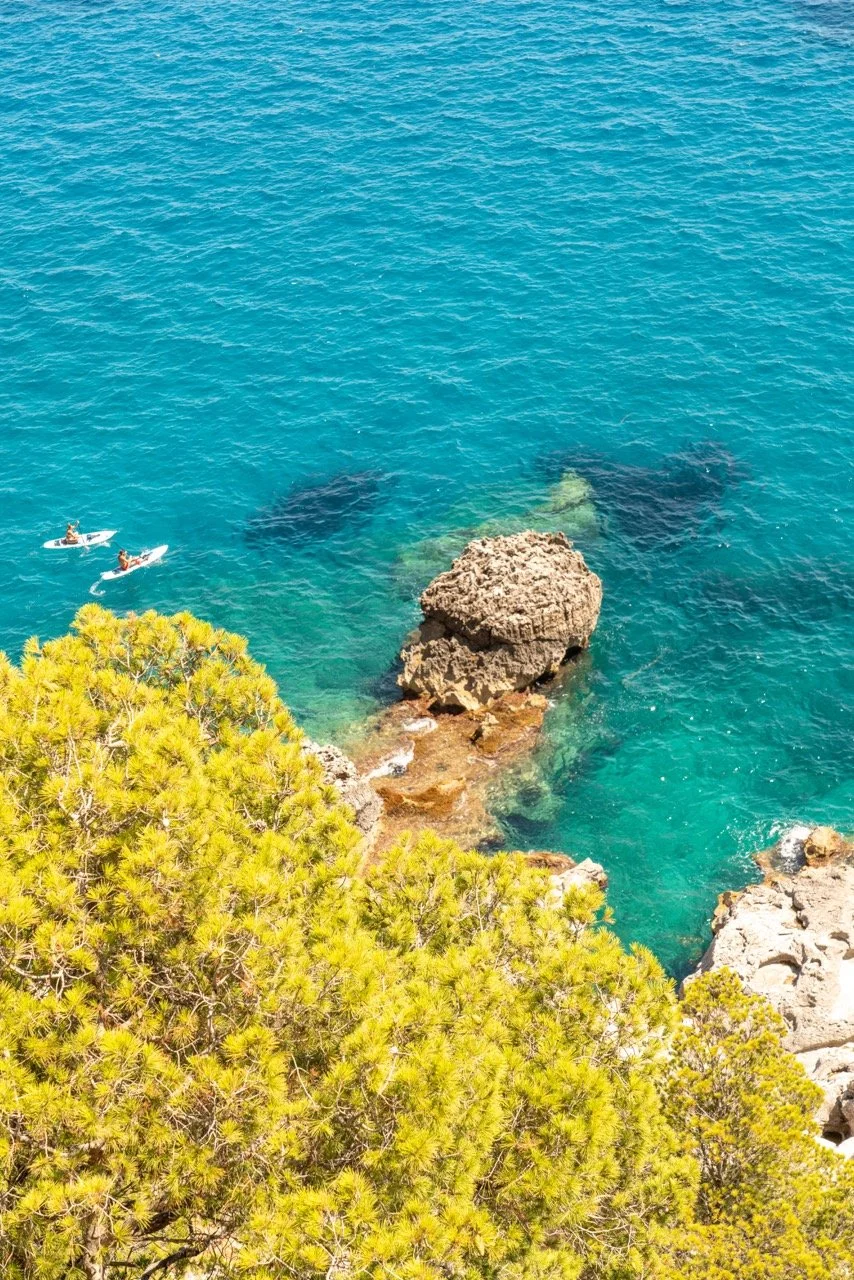 DSC02239 copy Large.jpeg