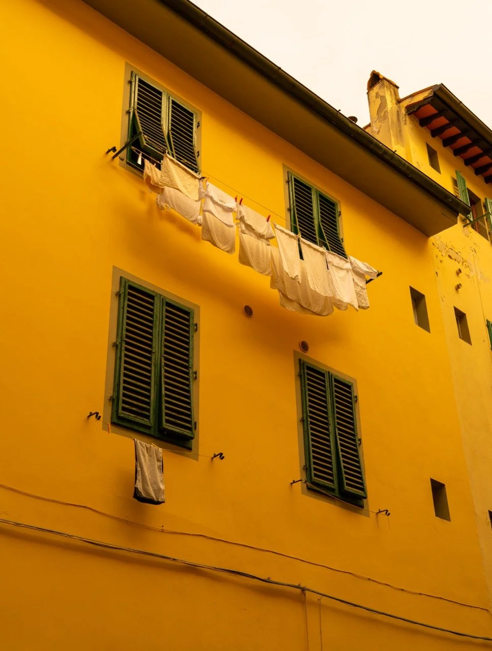 DSC01878 copy Large.jpeg