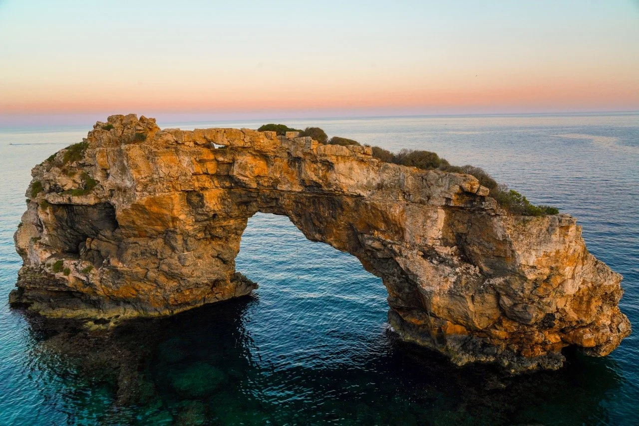 DSC03329 copy Large.jpeg