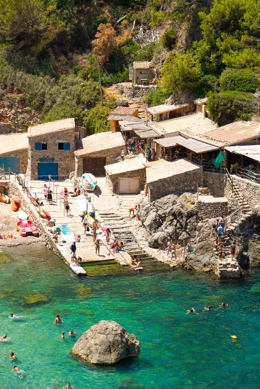 DSC03345 copy Large.jpeg