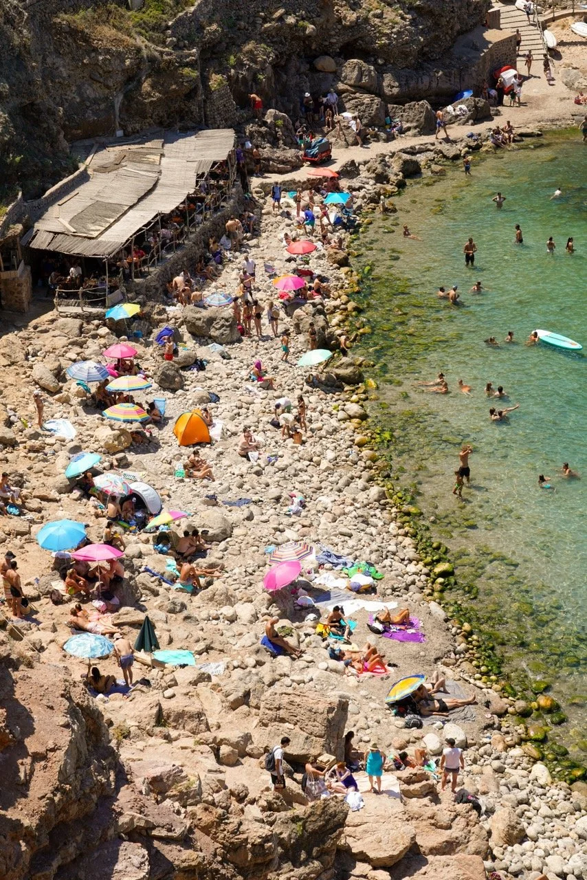 DSC03356 copy Large.jpeg