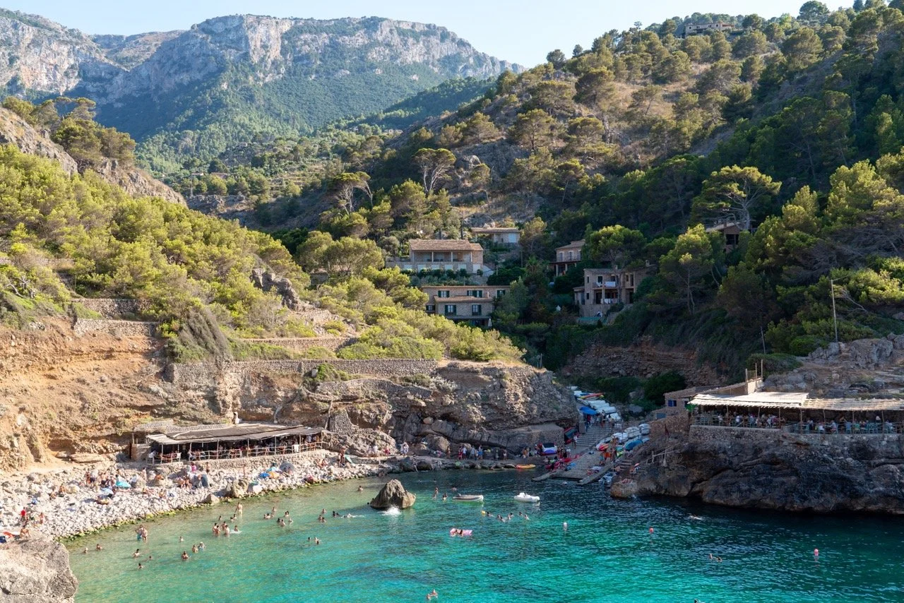 DSC03400 copy Large.jpeg