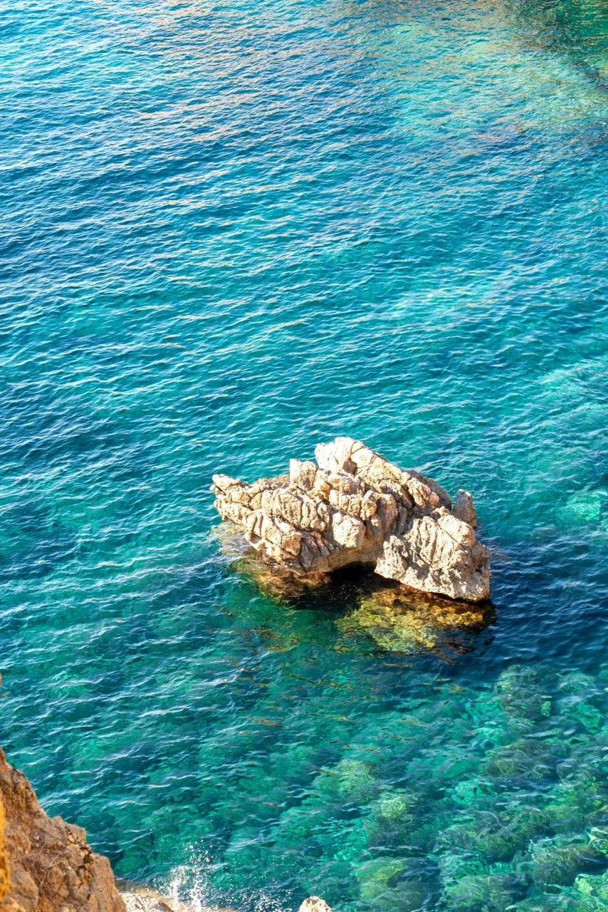 DSC03404 copy 2 Large.jpeg