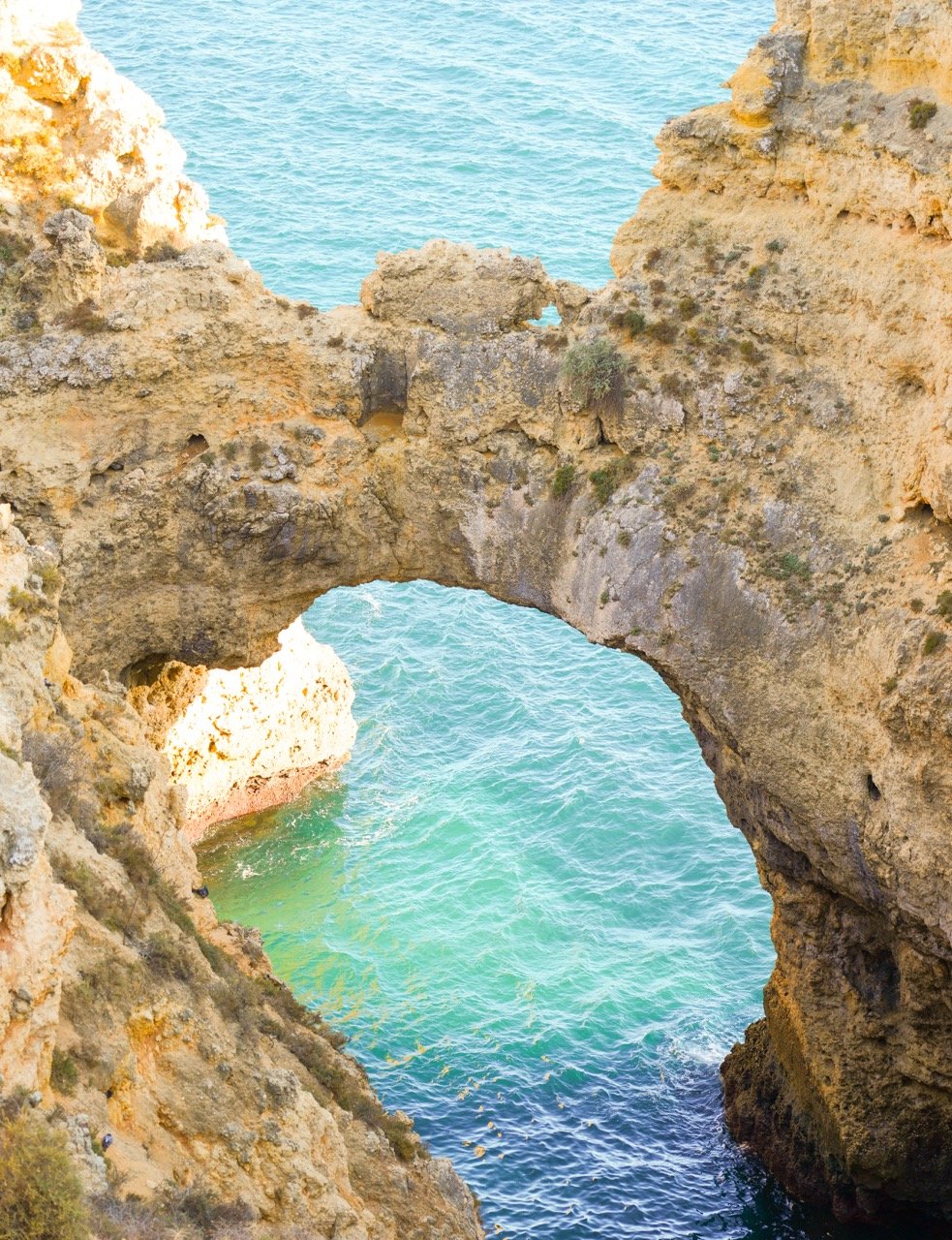 DSC03714 copy 2 Large.jpeg