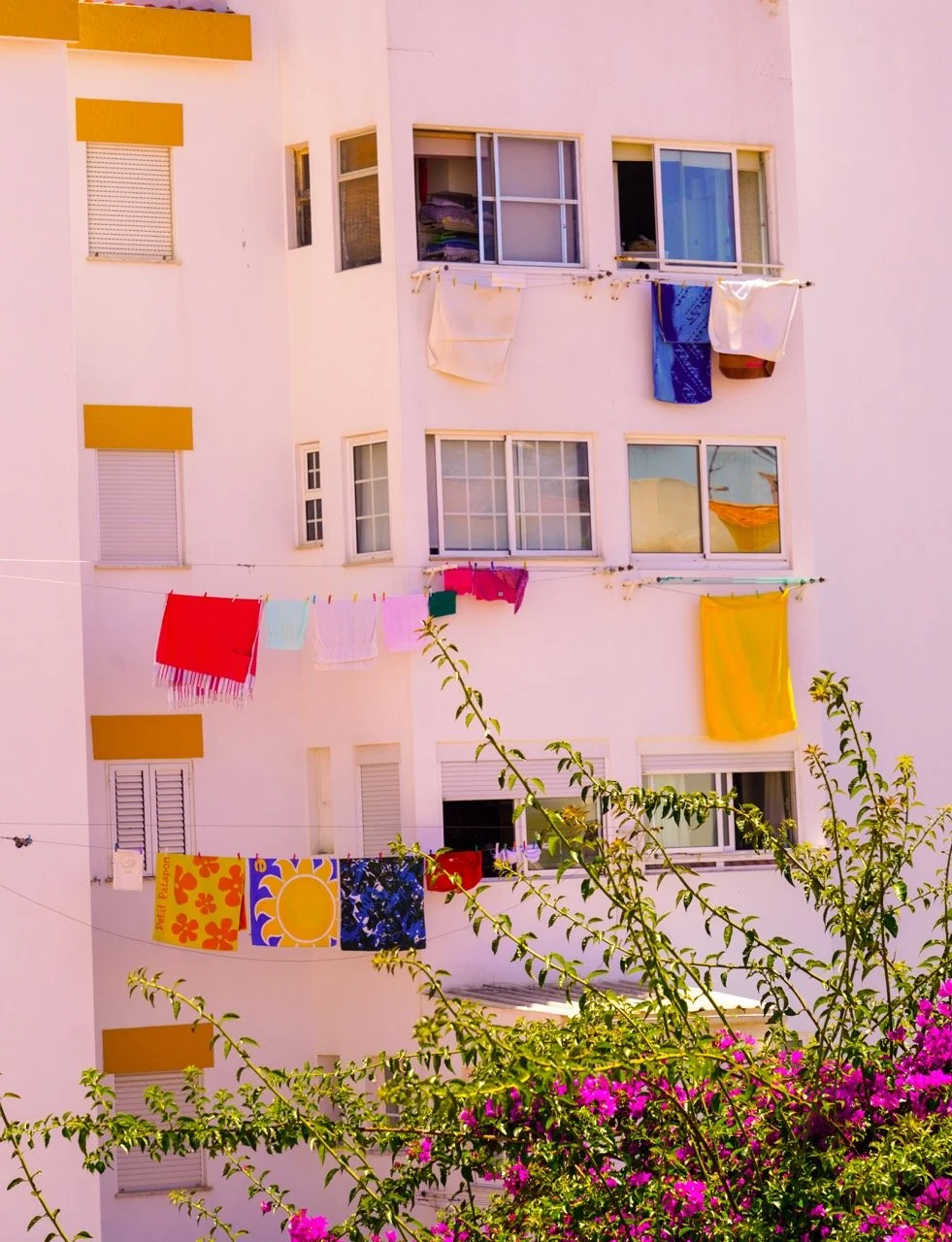 DSC03723 copy 2 Large.jpeg