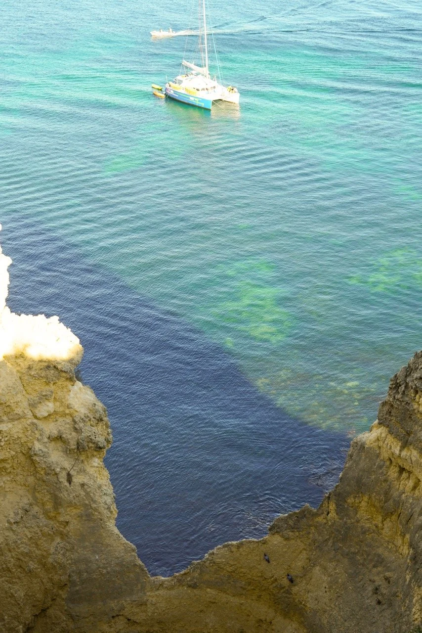 DSC03704 copy 2 Large.jpeg