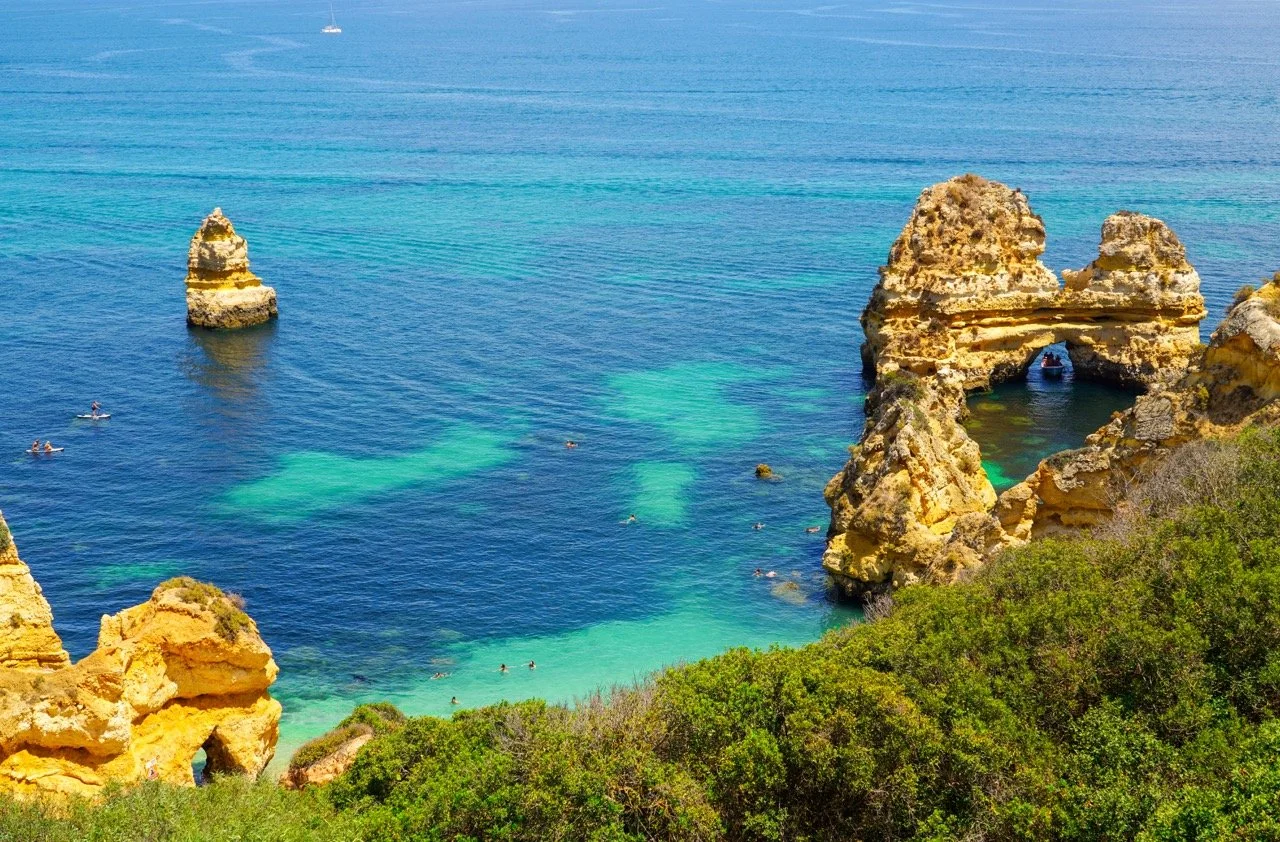 DSC03660 copy 2 Large.jpeg