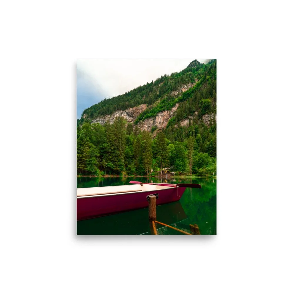 premium-luster-photo-paper-poster-(in)-8x10-front-6431cdacda34c.jpg