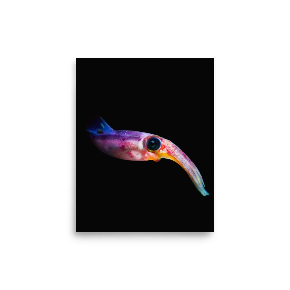 premium-luster-photo-paper-poster-(in)-8x10-front-65020189e9df1.jpg