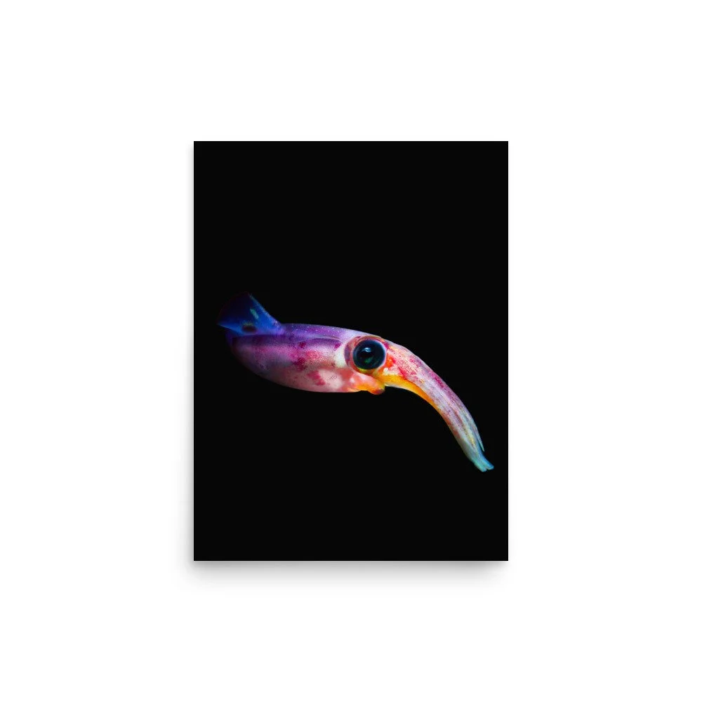 premium-luster-photo-paper-poster-(in)-12x16-front-65020189eb345.jpg