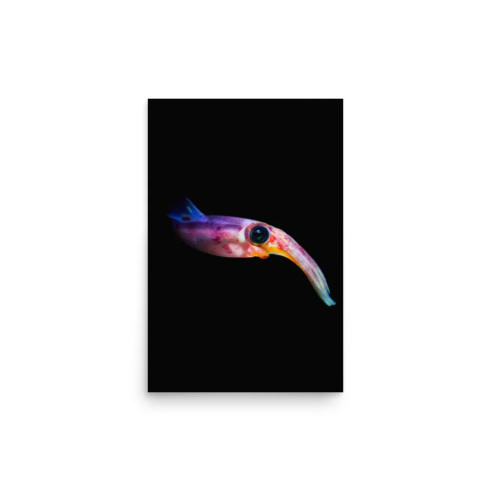 premium-luster-photo-paper-poster-(in)-12x18-front-65020189eb3df.jpg