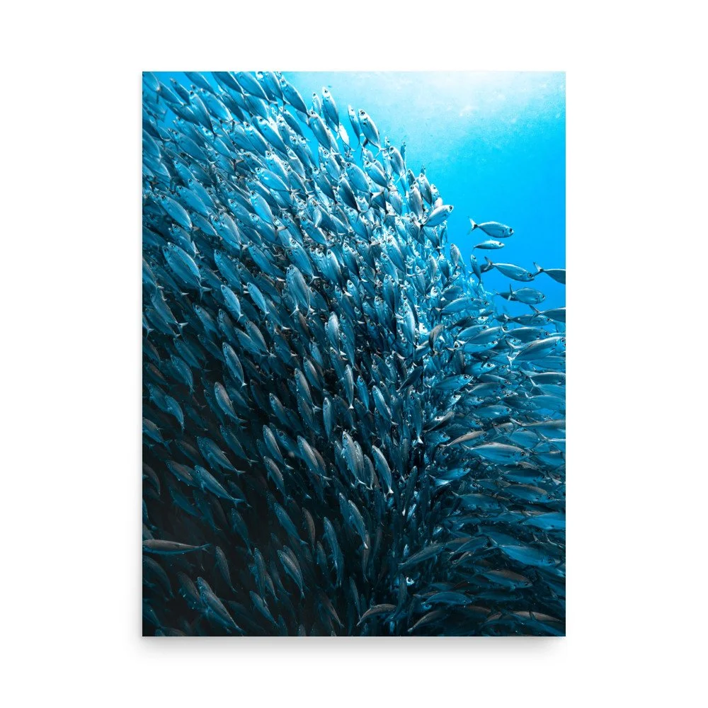 premium-luster-photo-paper-poster-(in)-18x24-front-662722d720aa5.jpg
