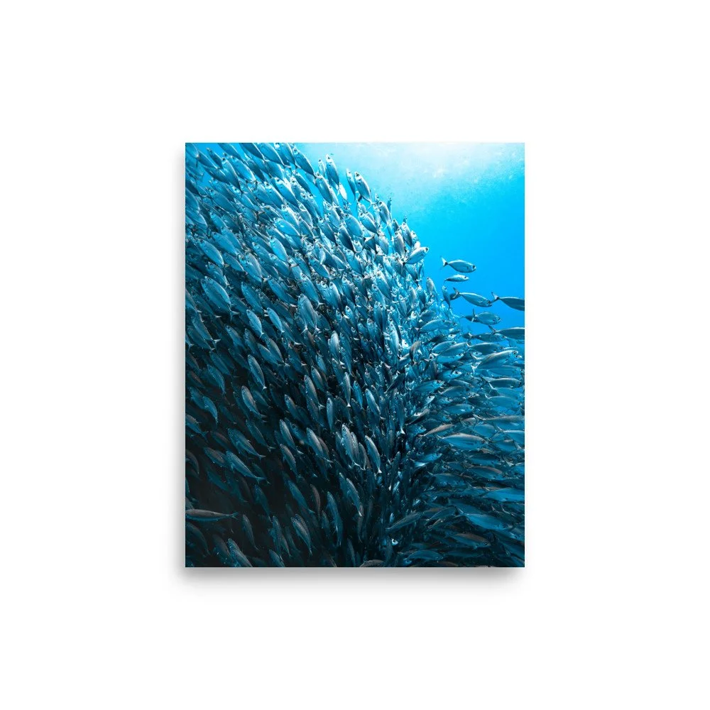 premium-luster-photo-paper-poster-(in)-8x10-front-662722d720b93.jpg