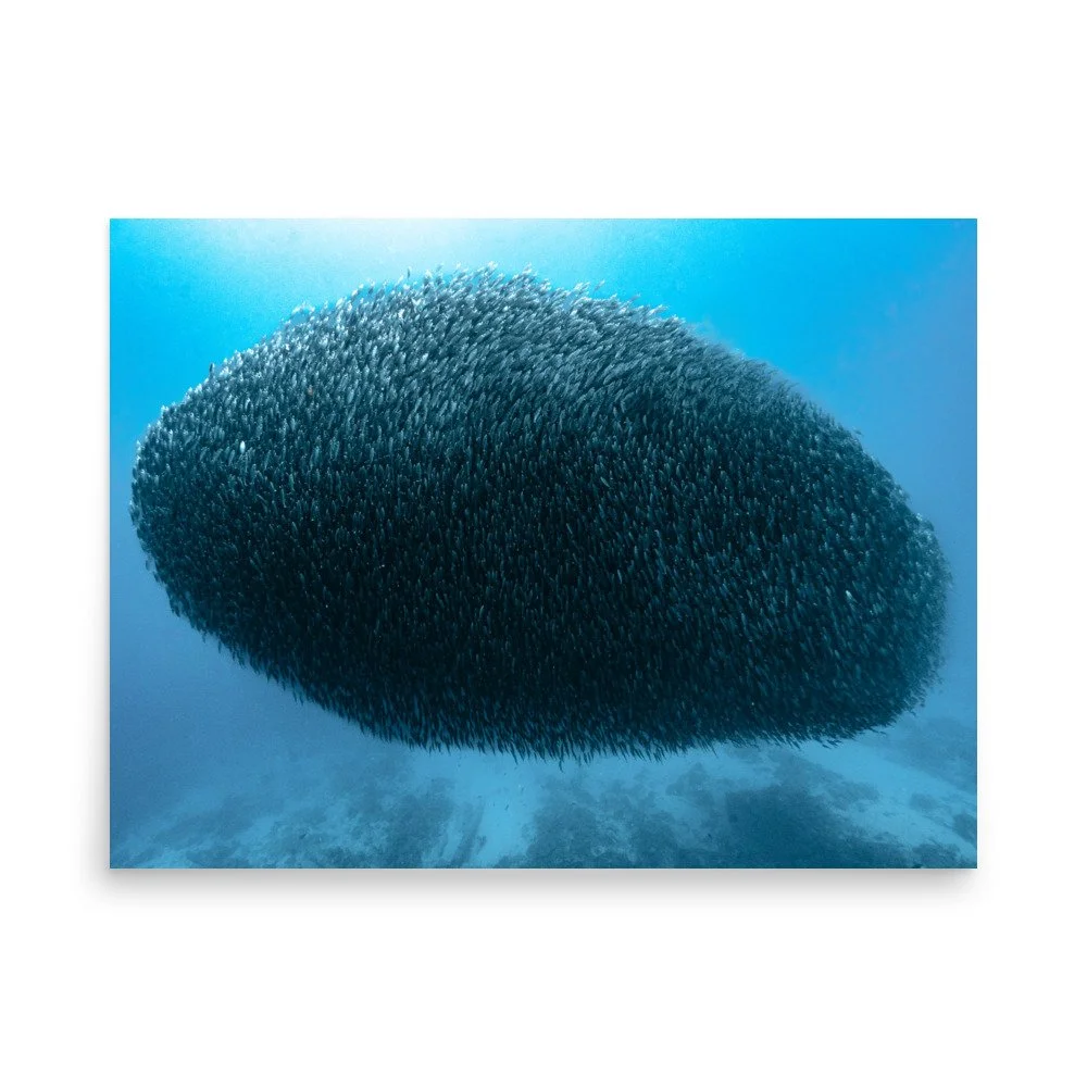 premium-luster-photo-paper-poster-(in)-18x24-front-66511ba8d8e11.jpg