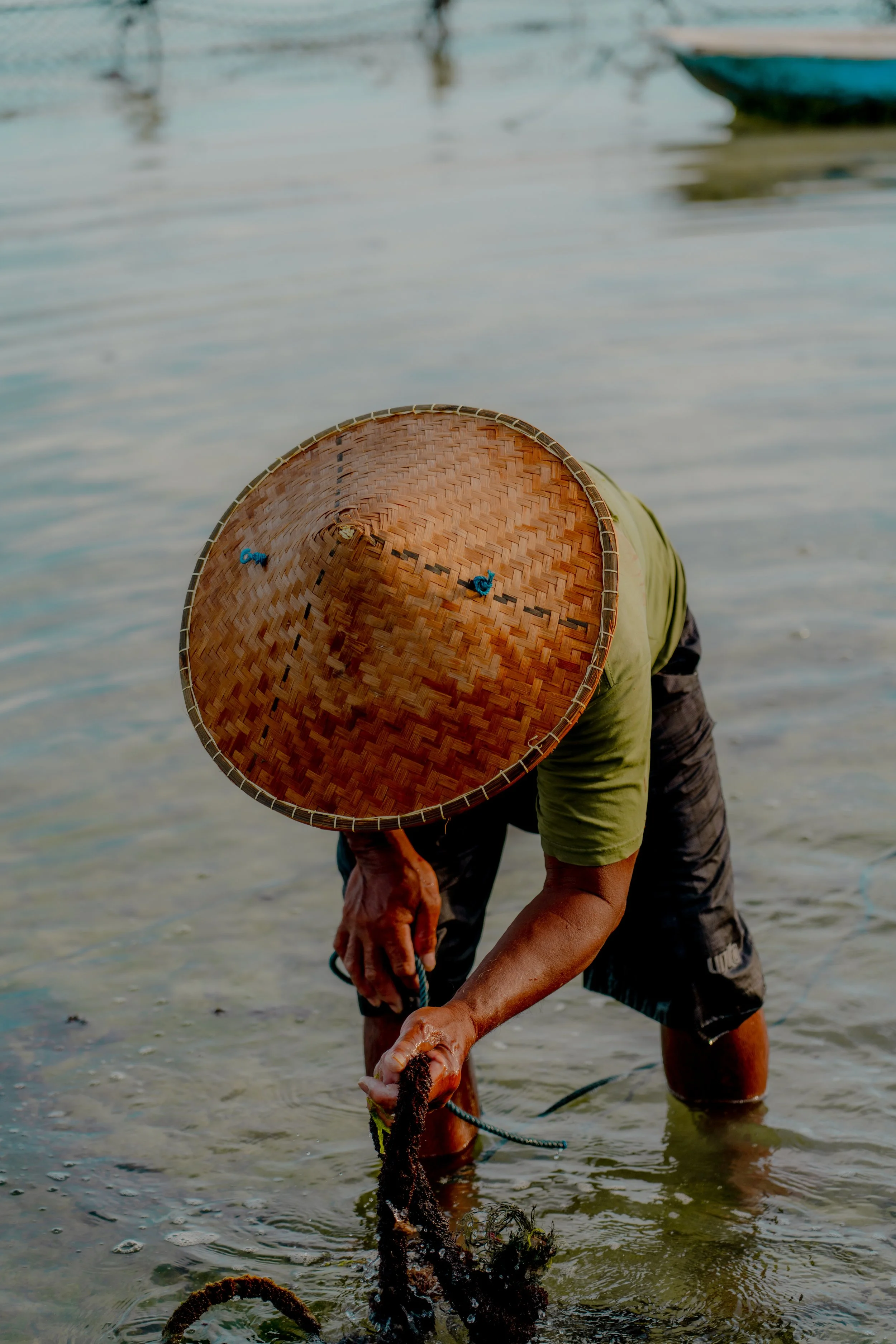 Seaweed Farming_2.jpeg