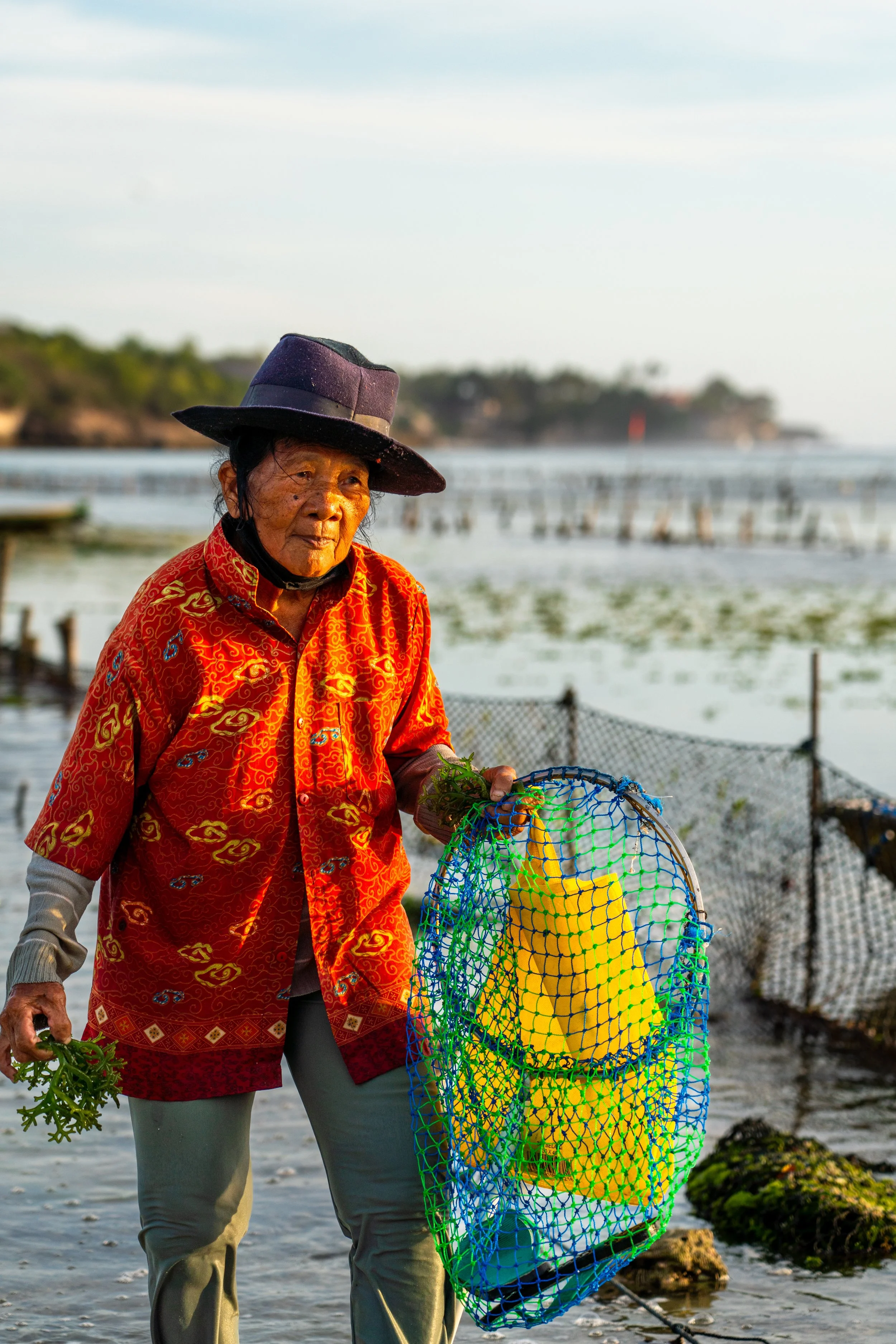 Seaweed Farming_8.jpeg