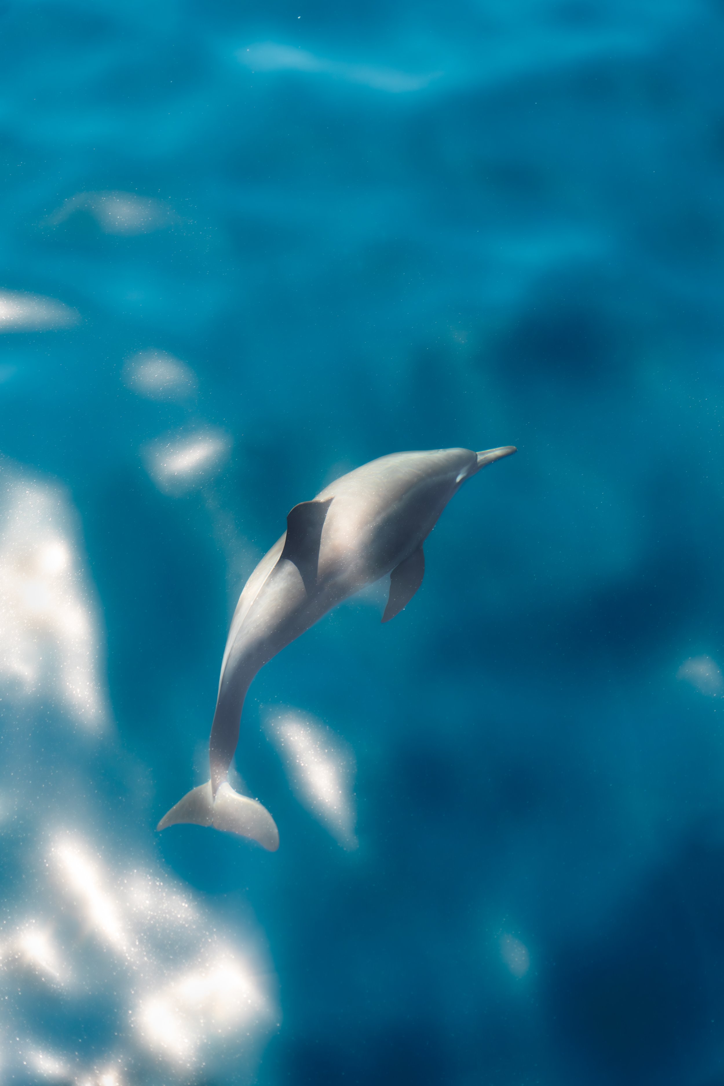 DSC01350-Enhanced-NR copy.jpeg