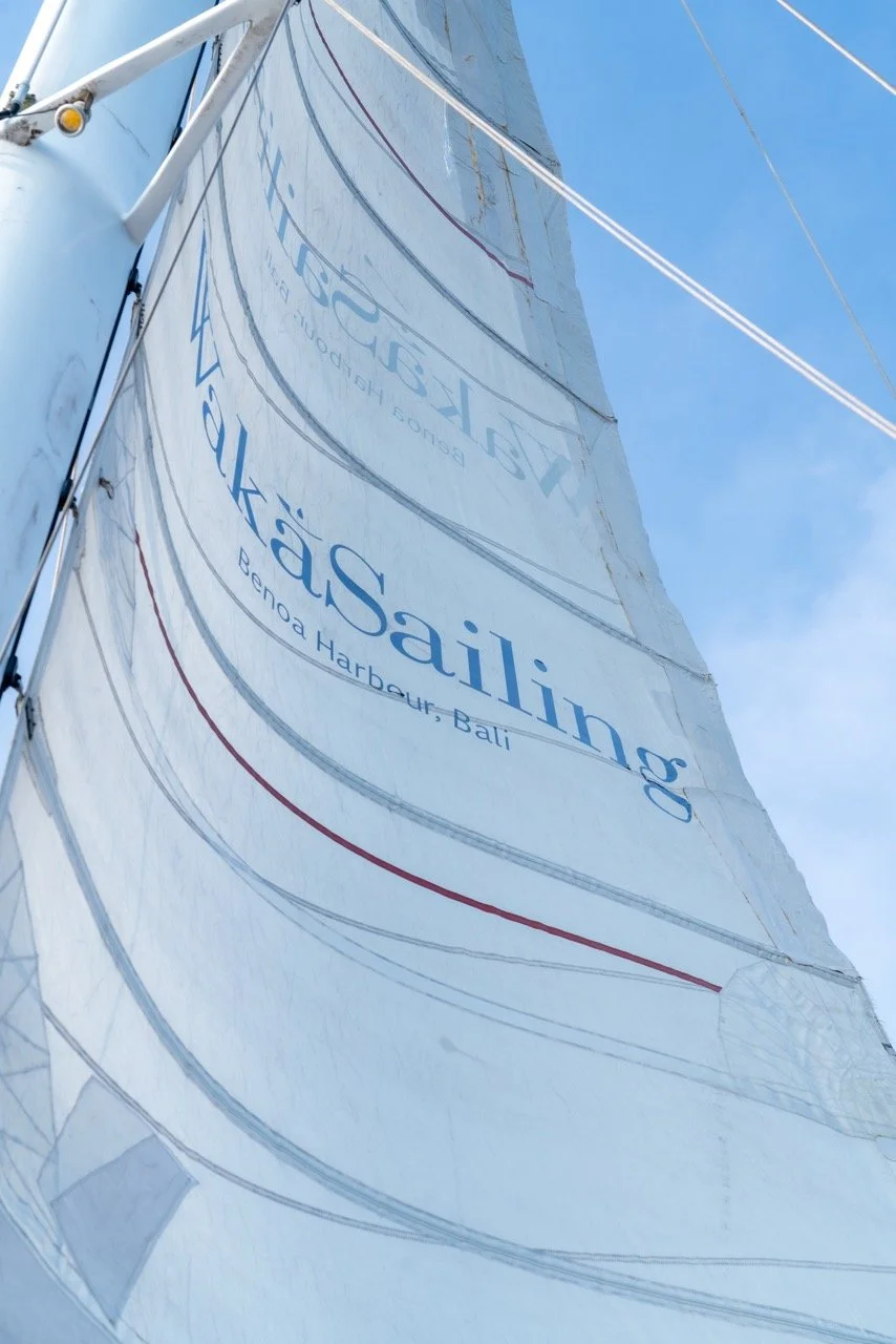 DSC02142 Large 2.jpeg