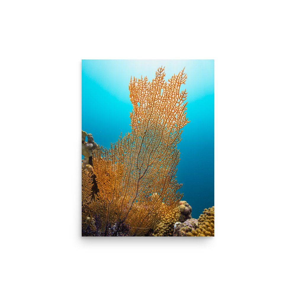 premium-luster-photo-paper-poster-(in)-12x16-front-67c7cfc5745f1.jpg