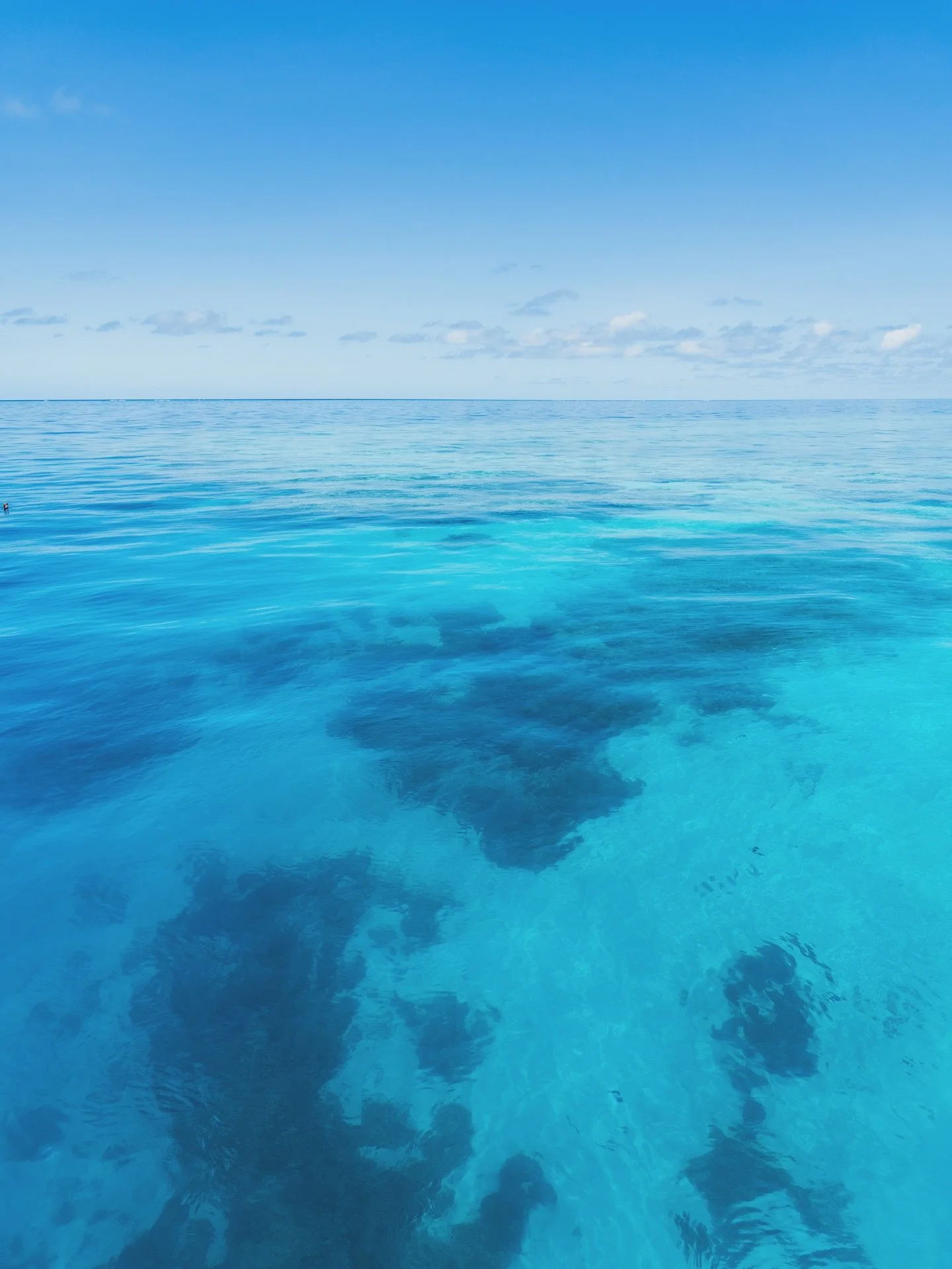 spent &ldquo;winter&rdquo; down unda in the cutest little tropical town 🥥🏝️🐋