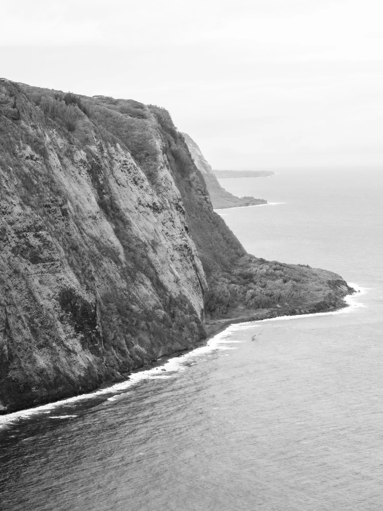 grateful for parents who will meet me midway across the pacific for a visit🤍