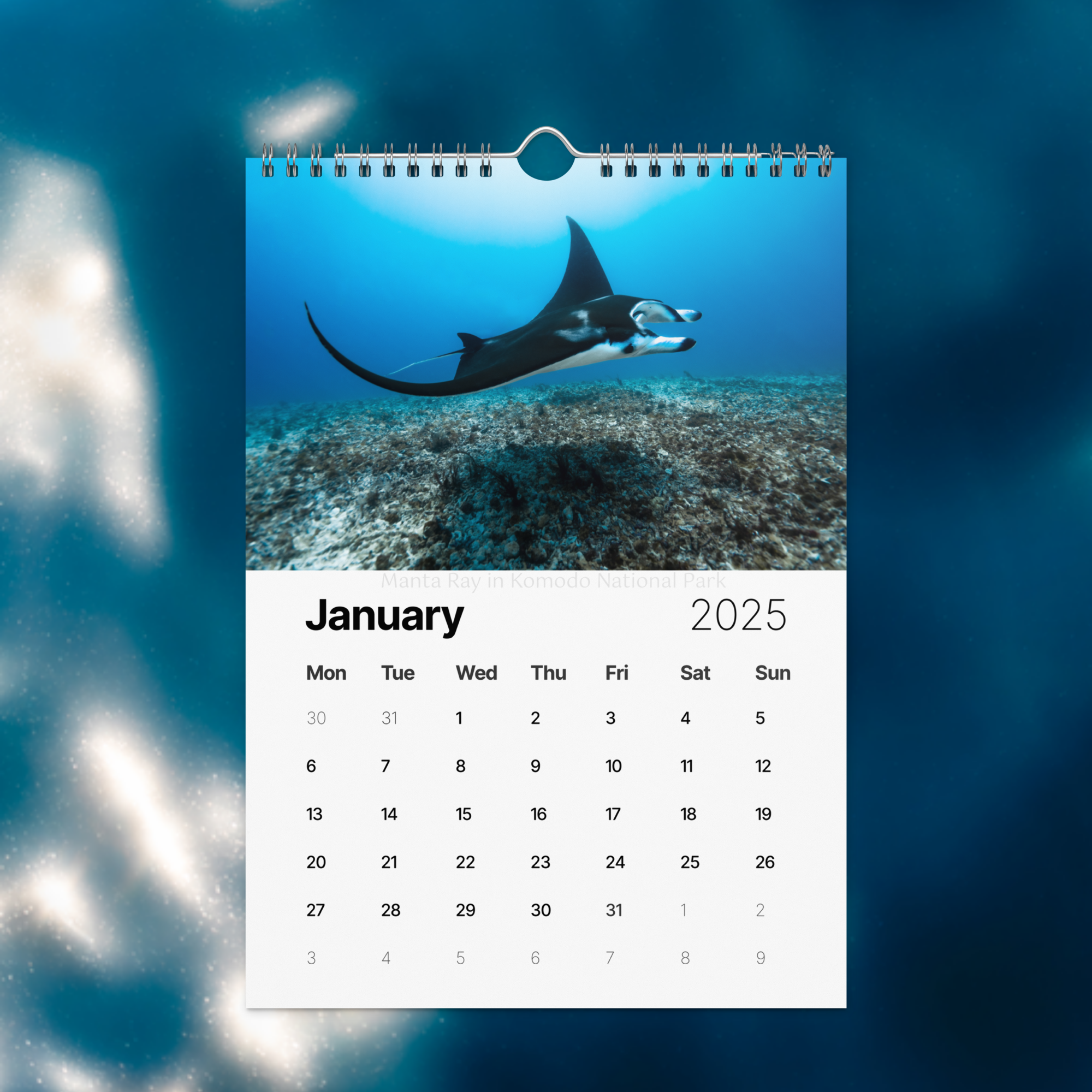 wall-calendar-(2025)-start-w-mon-8.26x11.69-front-674d9caa0c46e.png