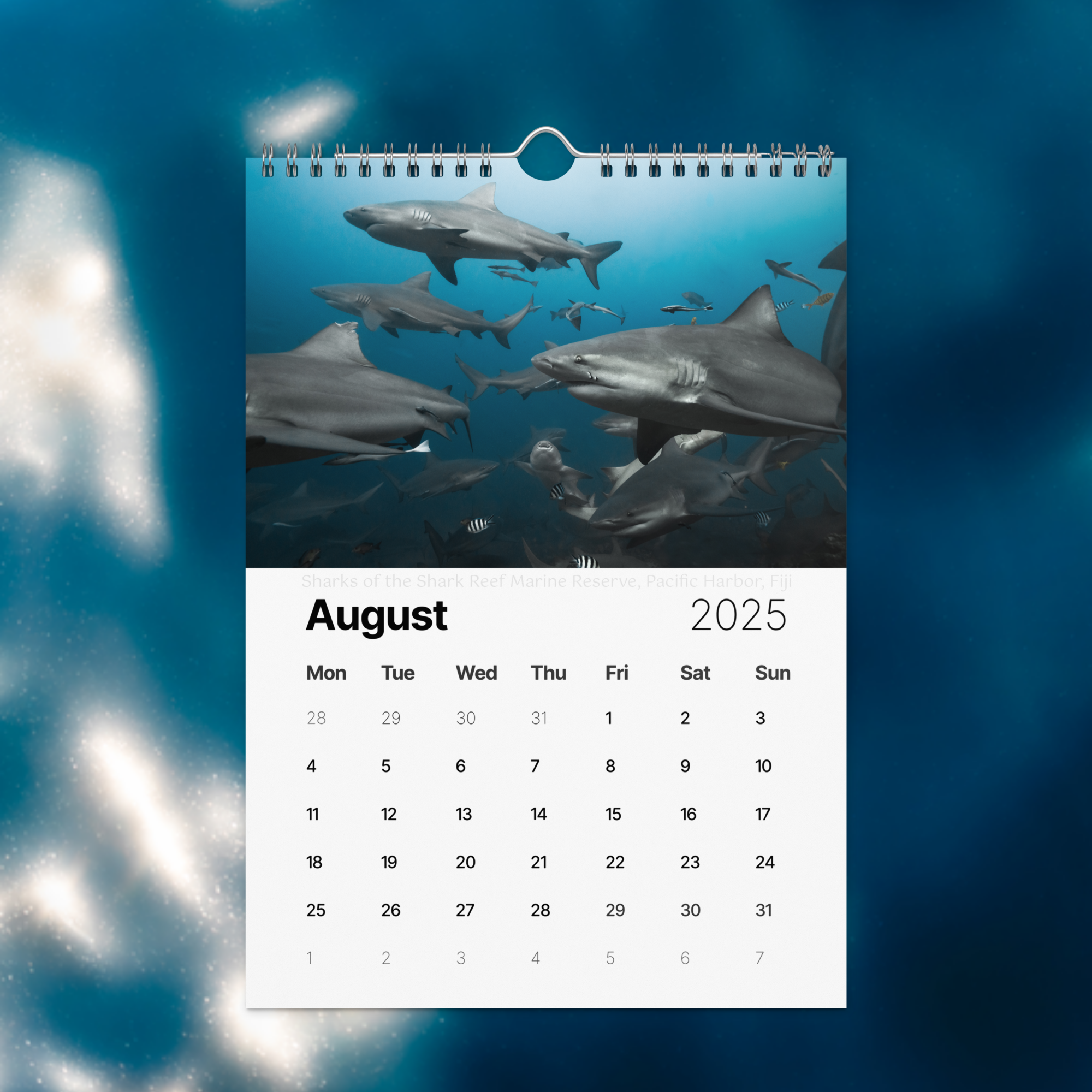 wall-calendar-(2025)-start-w-mon-8.26x11.69-front-674d9caa1399c.png