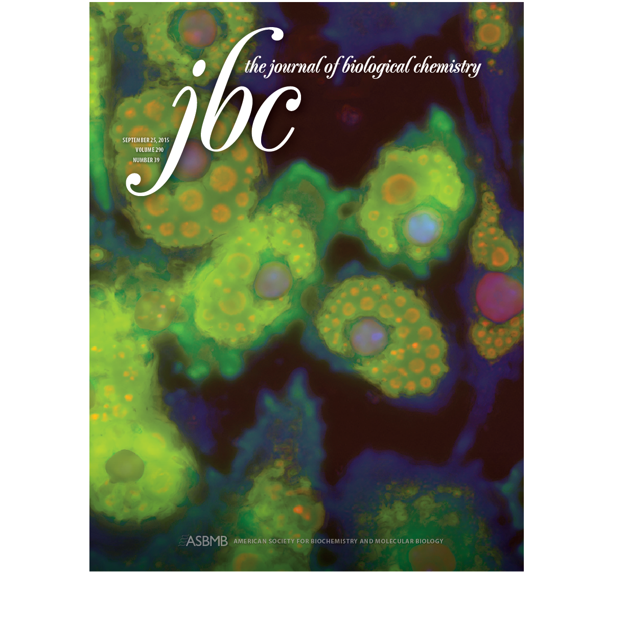 James_JBC_September25_cover.png