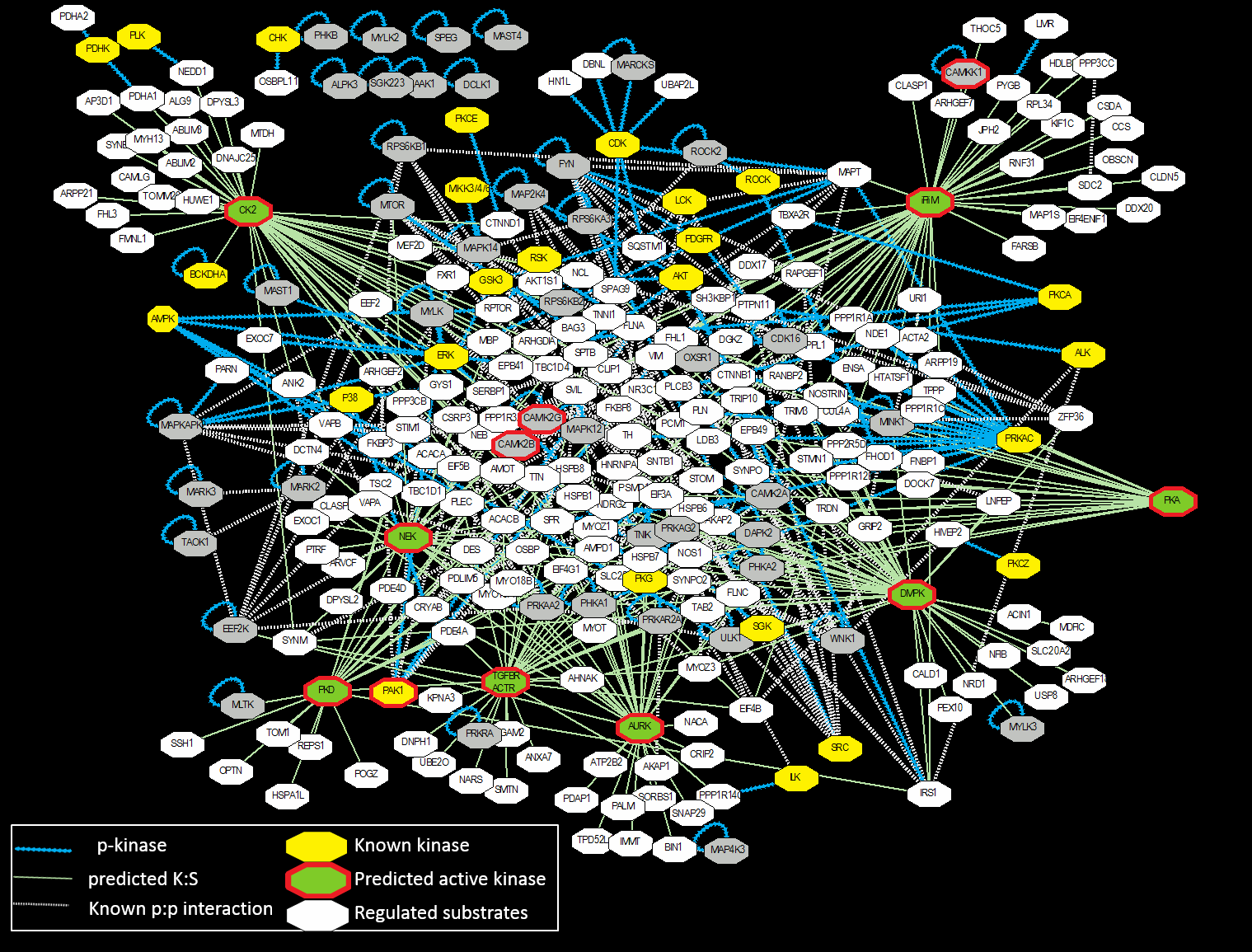 Fig_Molecular_Networks_2.png