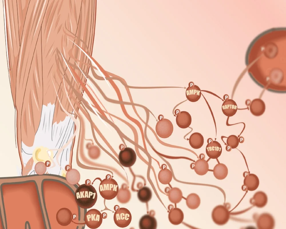 Overview Image copy.jpg