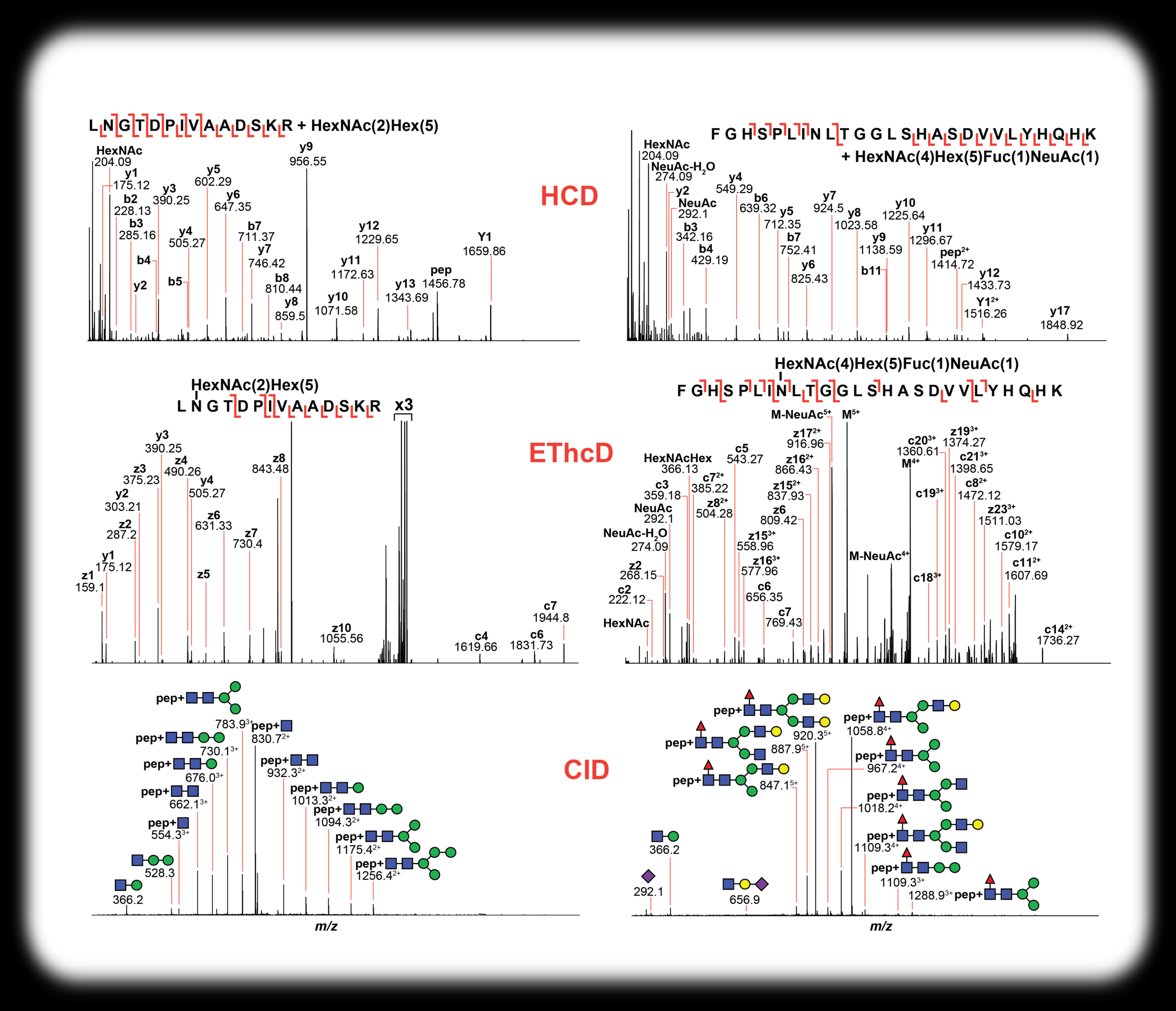 Figure 3 - Glycopeptide tandem MS.png