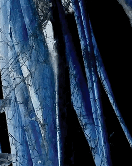 Clowns, $piders, and Ghosts Oh My: Fear on the Brain