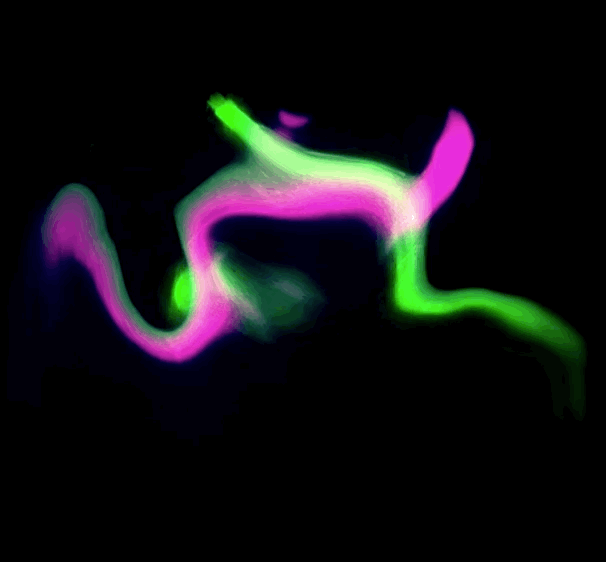 The Path to a Post-doc: A Circuitry Neuroscientist Slices It Up