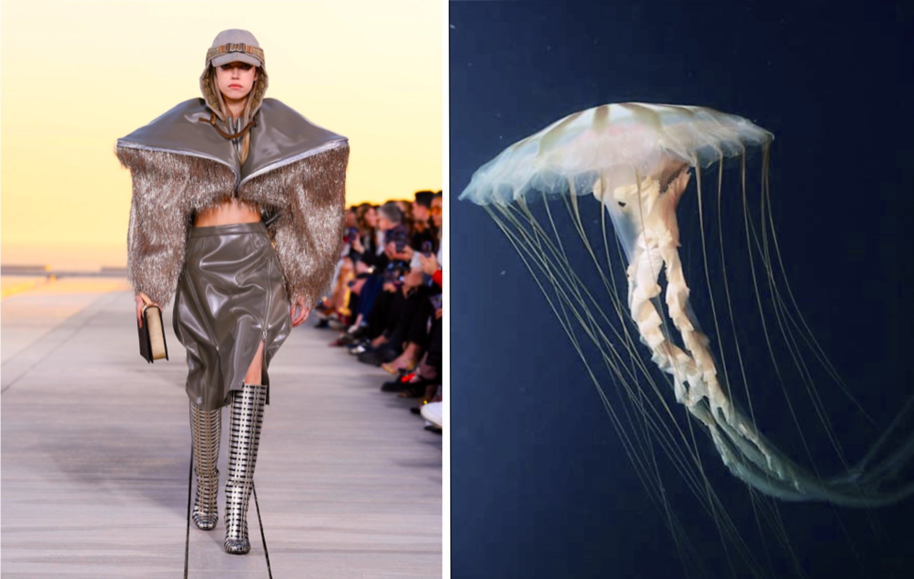 It Takes Guts: Jellyfish Float Through Louis Vuitton