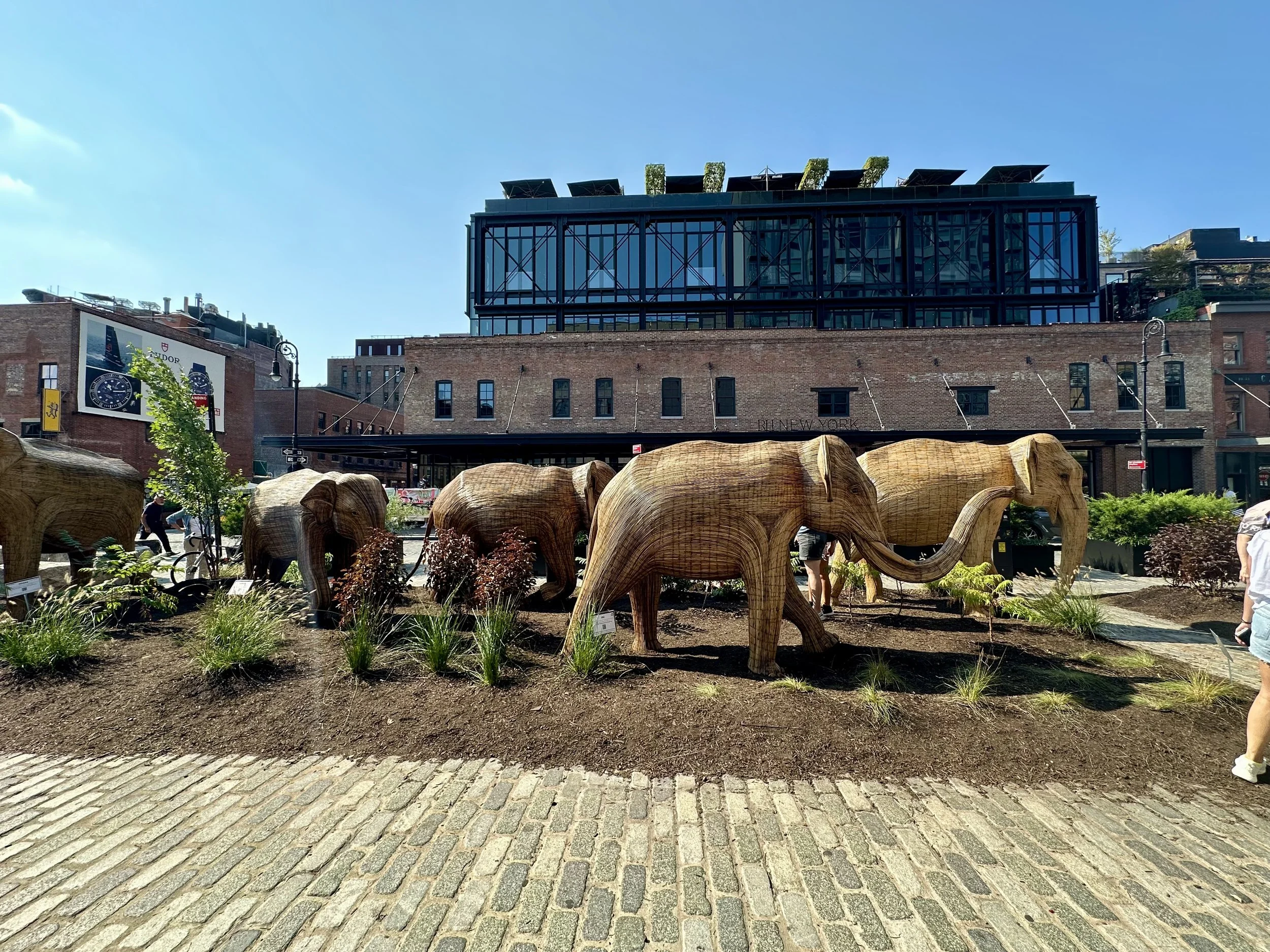 Trunk Show: Elephants Know Nose