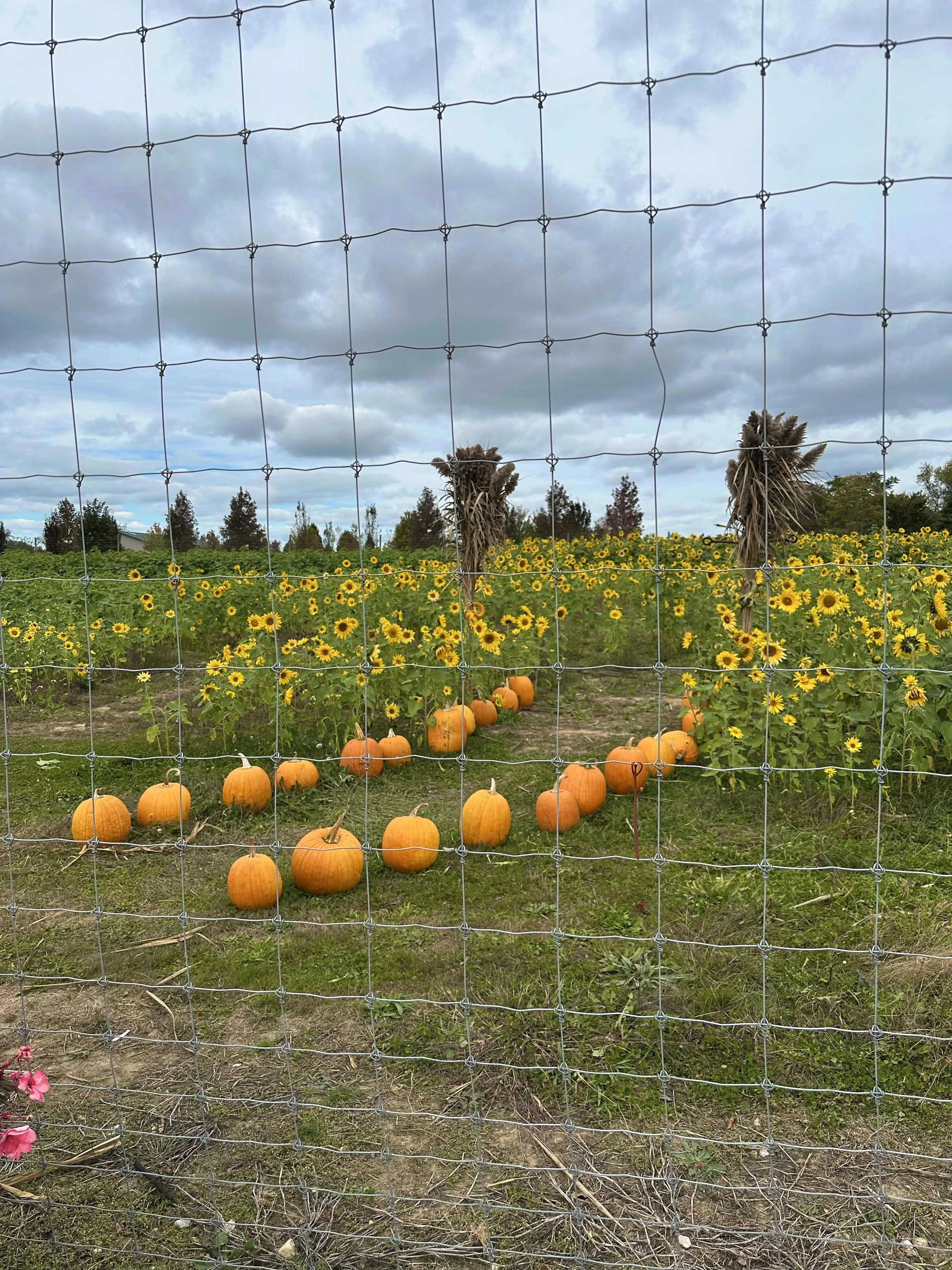 Two To-Dos in The Hamptons: Autumn Eats Art